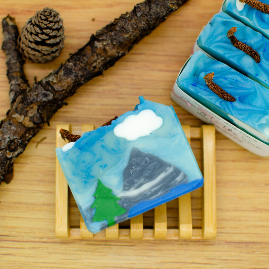 National Park Soap Gift Set