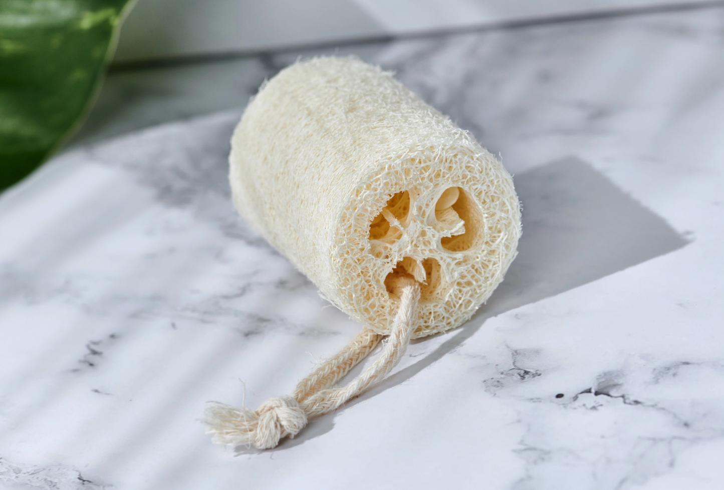 Natural Loofah Exfoliator (Set of 2)