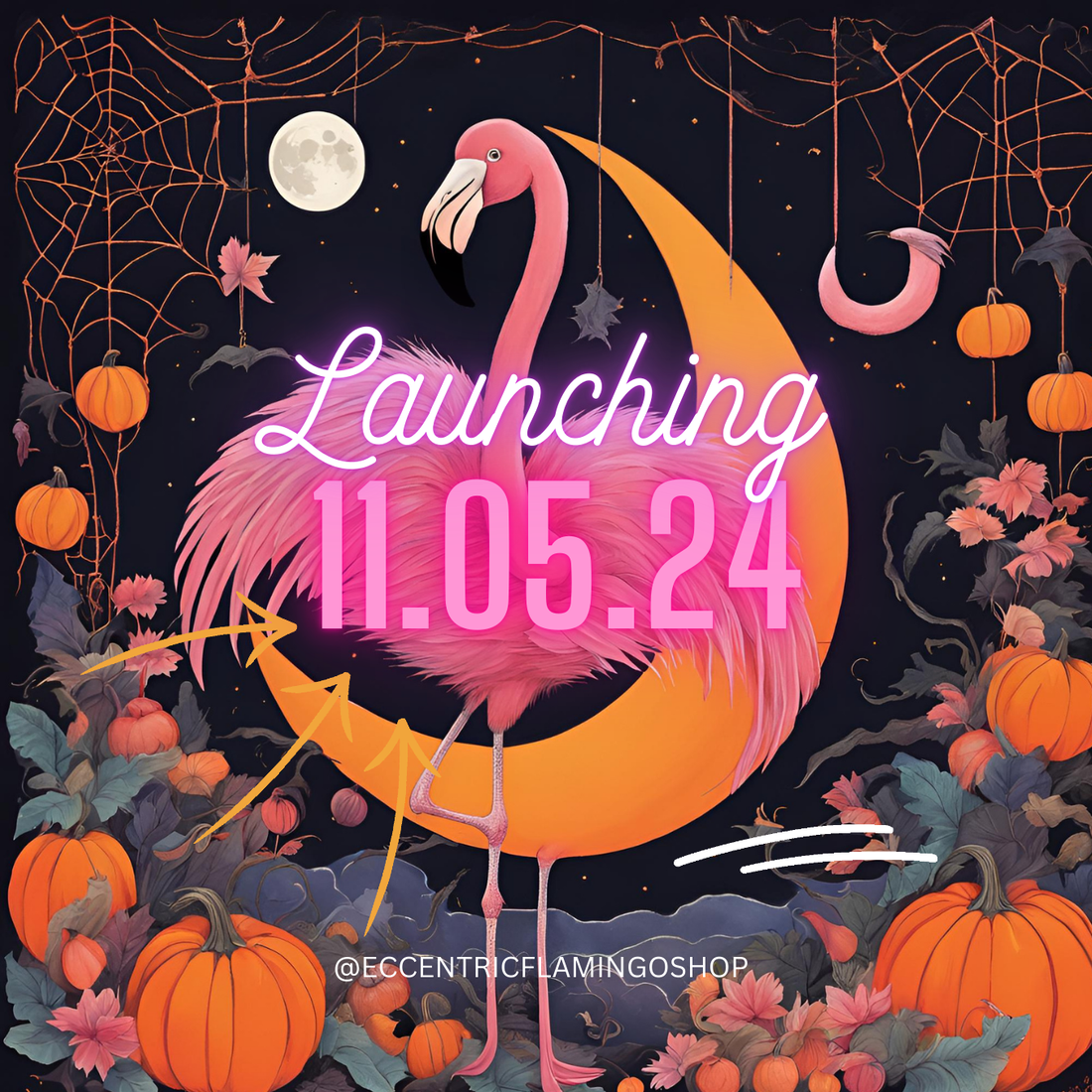 The Launch of Eccentric Flamingo