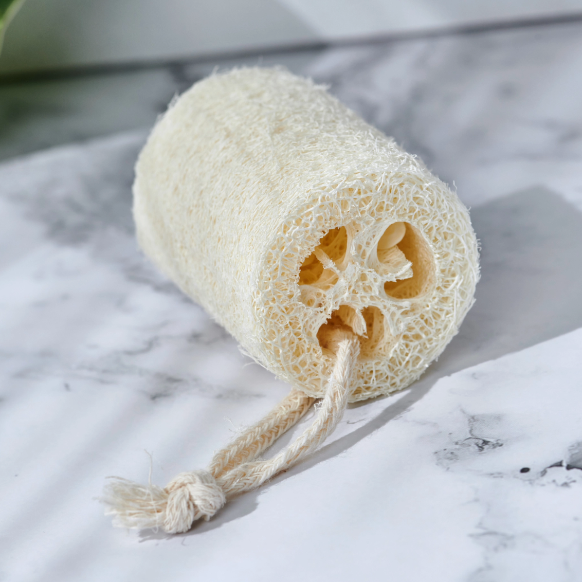 Natural Loofah Exfoliator: natural loofah exfoliator with a cotton hanging loop